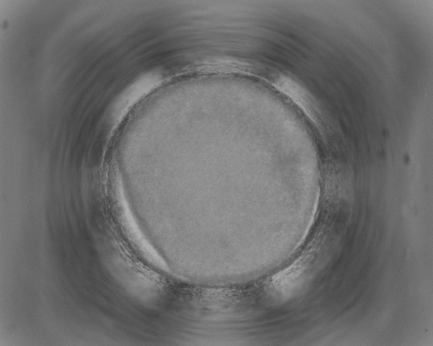 X0000081430832200702021650