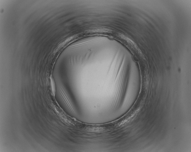 X0000081430833200702021650