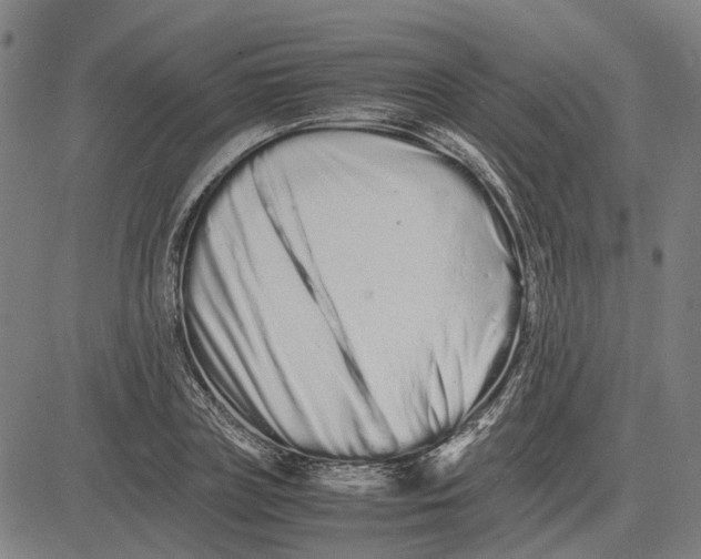 X0000081430835200702021650