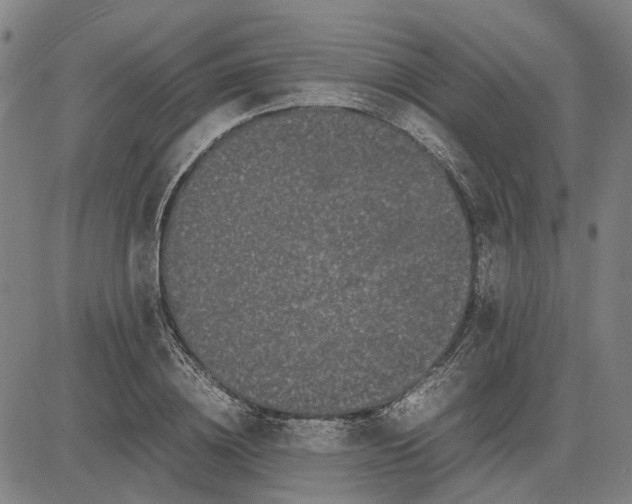 X0000081430836200702021650