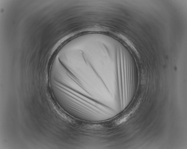 X0000081430837200702021650