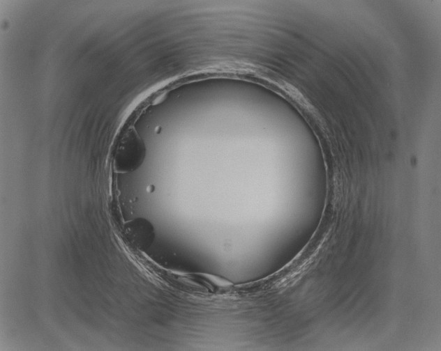 X0000081430838200702021650