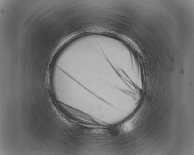 X0000081430839200702021650