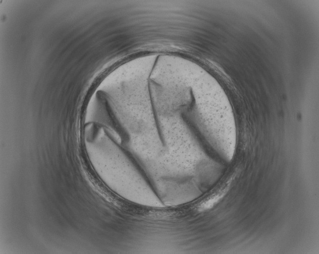 X0000081430840200702021650