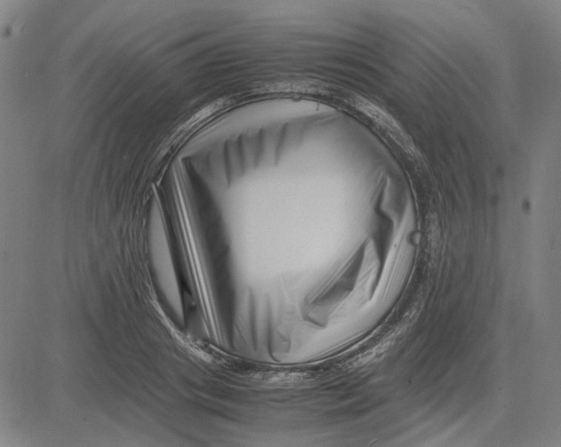 X0000081430841200702021650