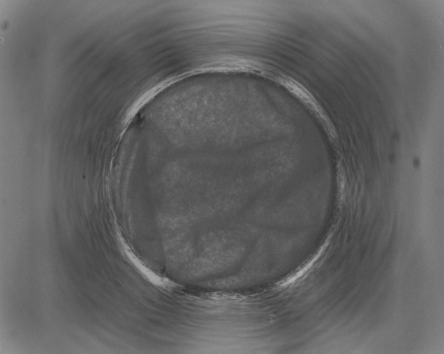 X0000081430842200702021650