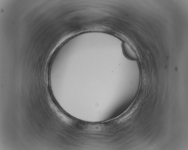 X0000081430843200702021650