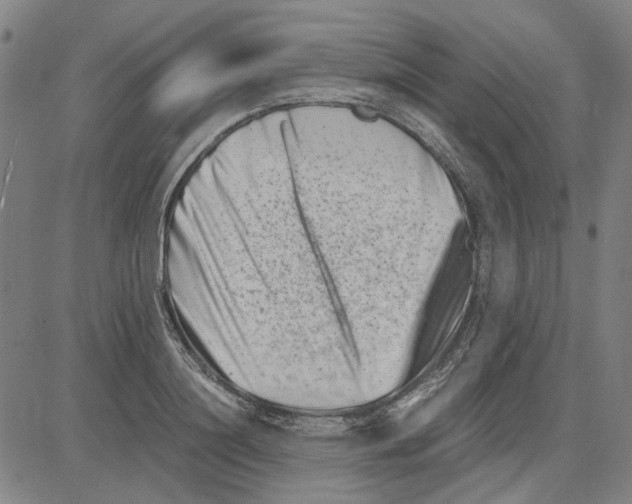 X0000081430844200702021650