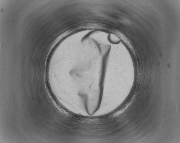 X0000081430845200702021650