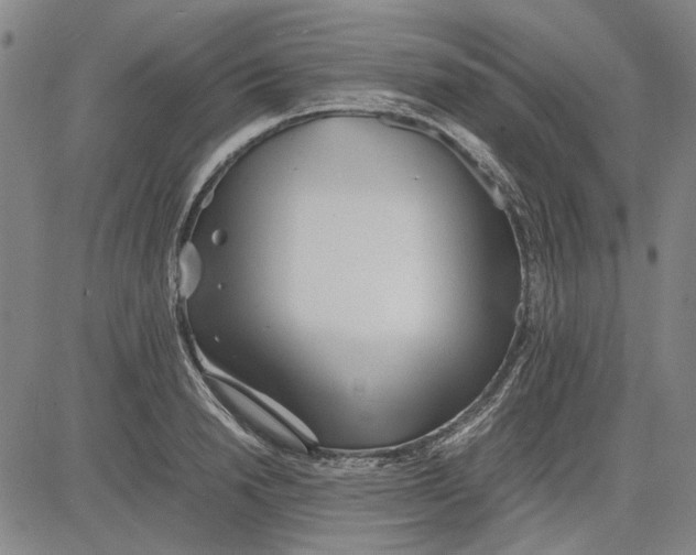 X0000081430846200702021650