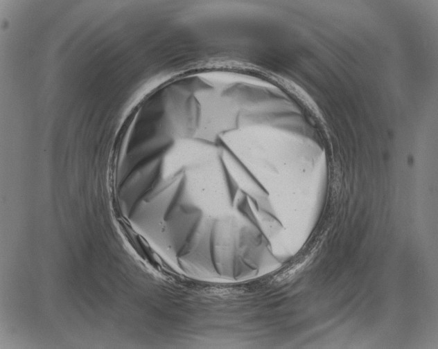 X0000081430847200702021650