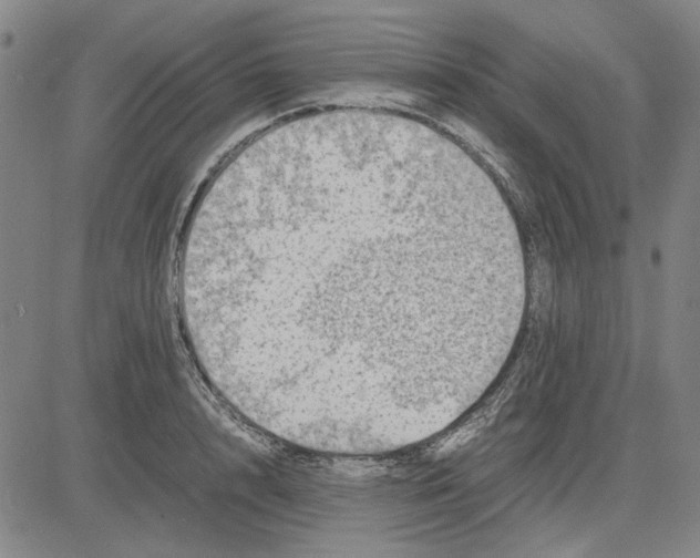 X0000081430848200702021650