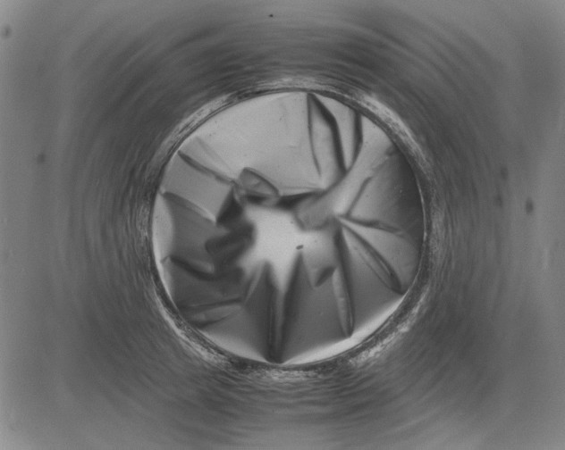 X0000081430849200702021650