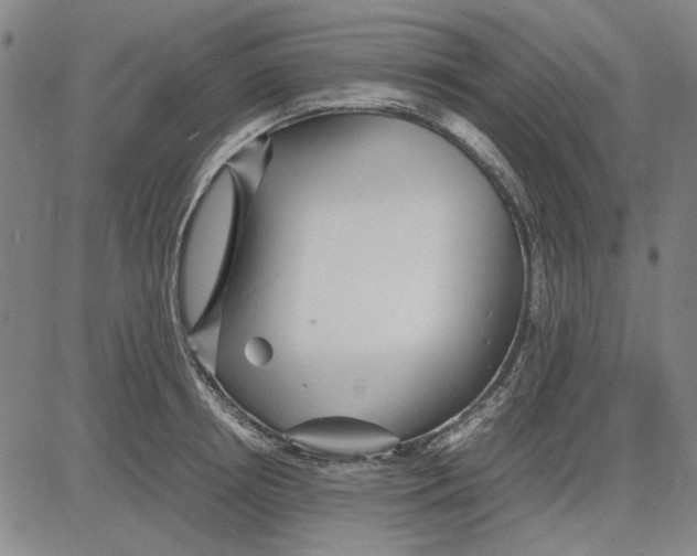 X0000081430850200702021650