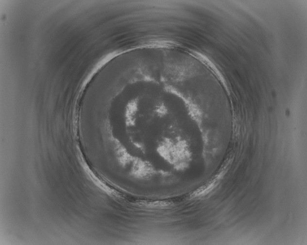 X0000081430851200702021650