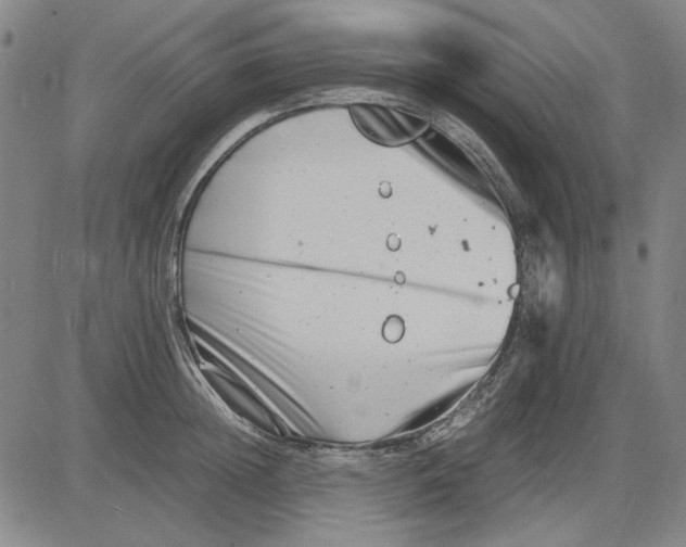 X0000081430852200702021650