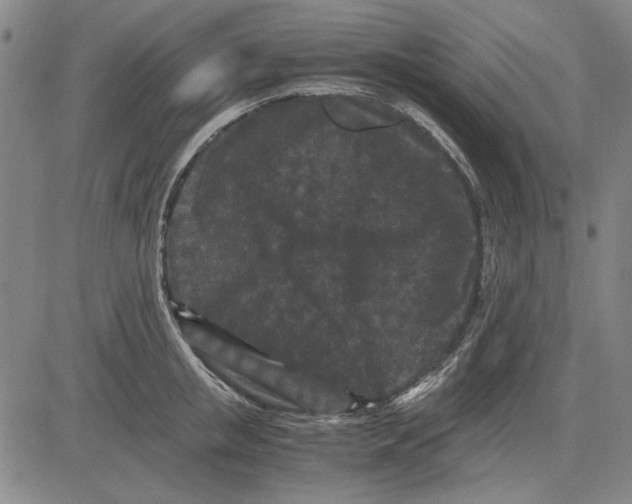 X0000081430853200702021650