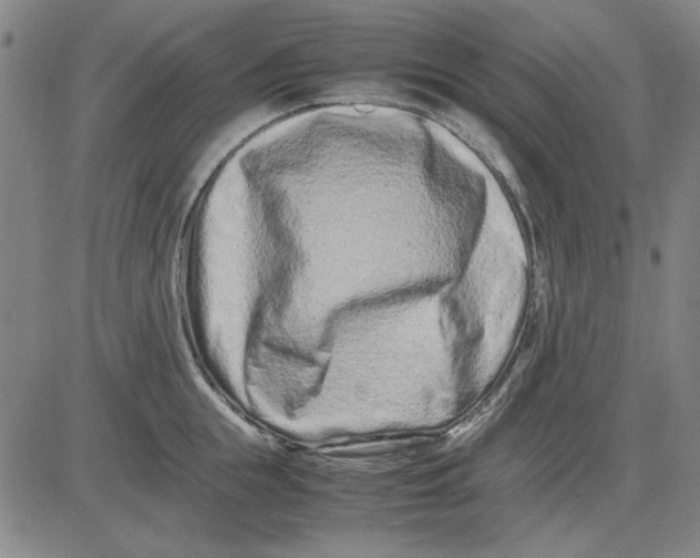 X0000081430855200702021650