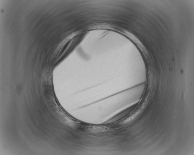 X0000081430857200702021651