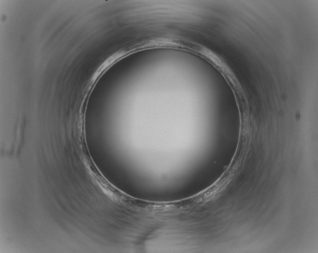 X0000081430858200702021651