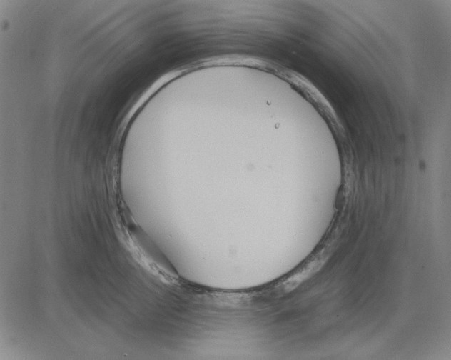 X0000081430860200702021651