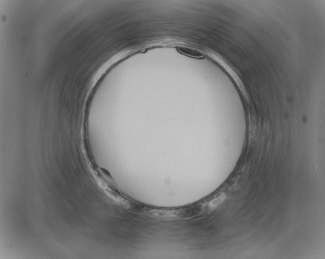 X0000081430861200702021651