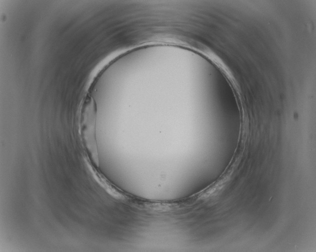 X0000081430862200702021651