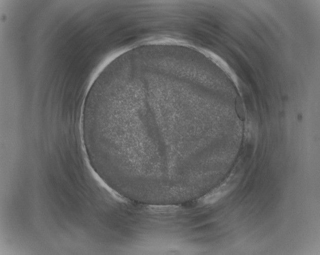 X0000081430863200702021651