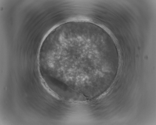 X0000081430864200702021651