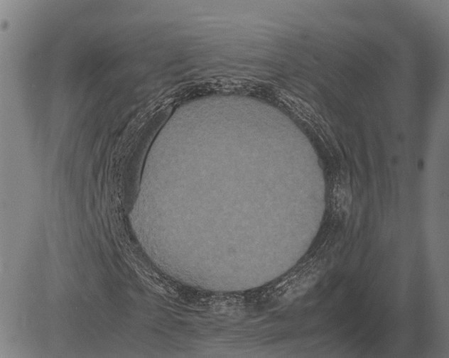 X0000081430865200702021650