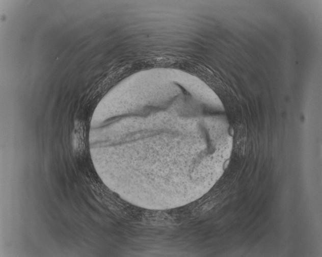 X0000081430866200702021650