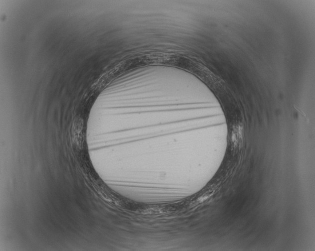 X0000081430867200702021650