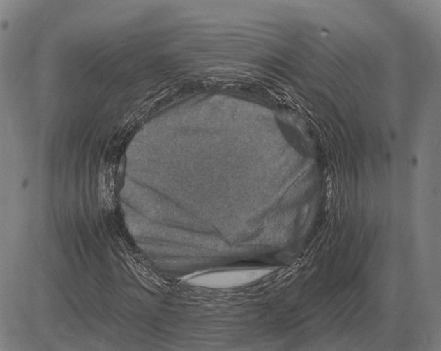 X0000081430868200702021650