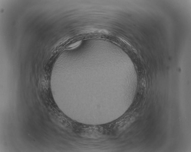 X0000081430869200702021650