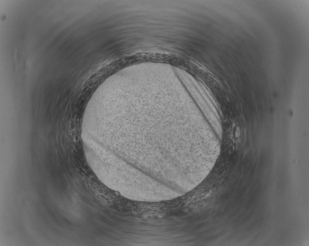 X0000081430870200702021650