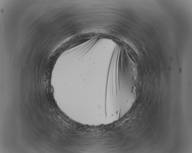 X0000081430872200702021650