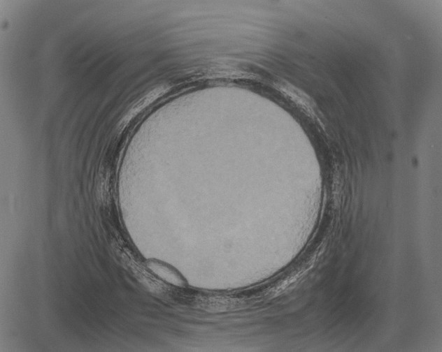 X0000081430873200702021650