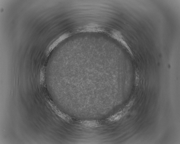 X0000081430874200702021650