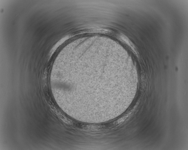 X0000081430875200702021650