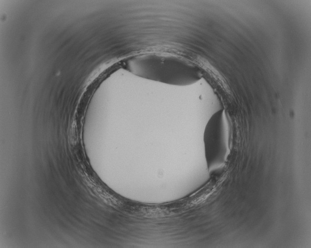 X0000081430876200702021650