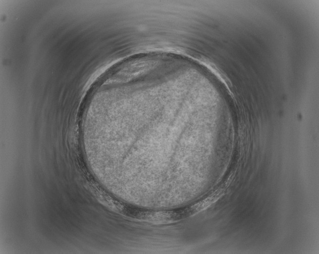 X0000081430879200702021650