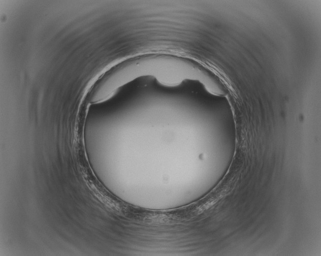 X0000081430880200702021650