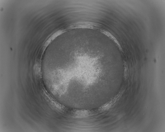 X0000081430882200702021650