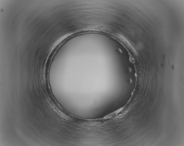 X0000081430884200702021650