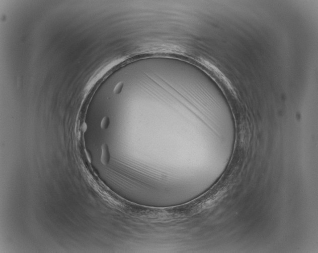 X0000081430885200702021650