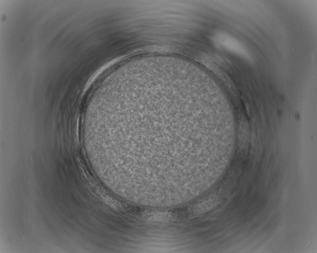 X0000081430886200702021650