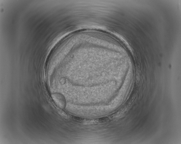 X0000081430887200702021649