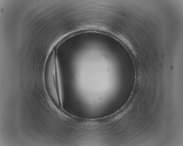 X0000081430888200702021649