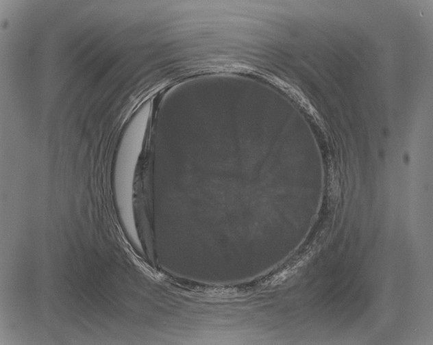 X0000081430889200702021649