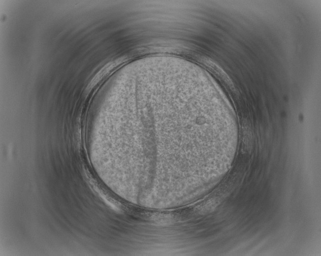 X0000081430890200702021649